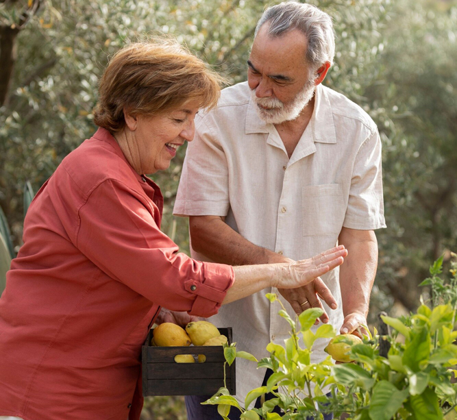 Osteoarthritis Nutrition Results